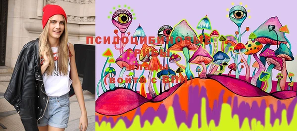 mdpv Нягань