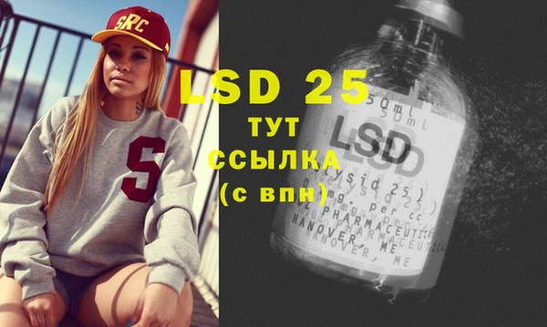 стафф Осинники