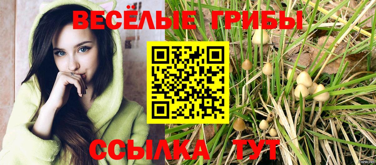 Псилоцибиновые грибы Magic Shrooms Аша