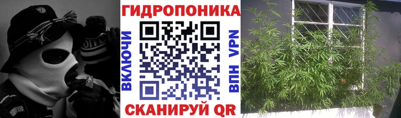 Каннабис VHQ  Аша 