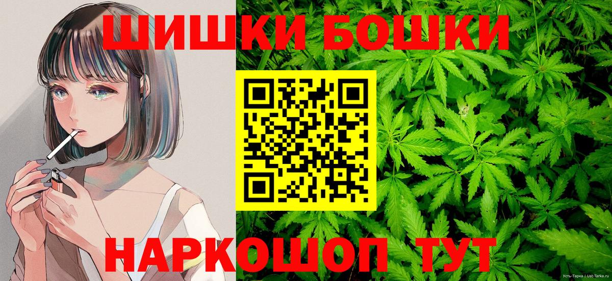 Шишки марихуана ГИДРОПОН  Вход с VPN  Бошки марихуана план  Аша  Каннабис White Widow  МАРИХУАНА планчик 