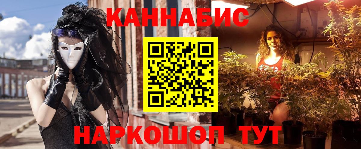 Бошки Шишки White Widow  Бошки марихуана план  Аша  Бошки Шишки сатива 